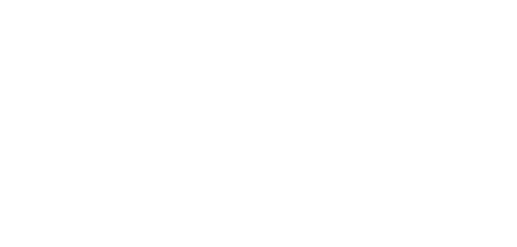 Amis Logo